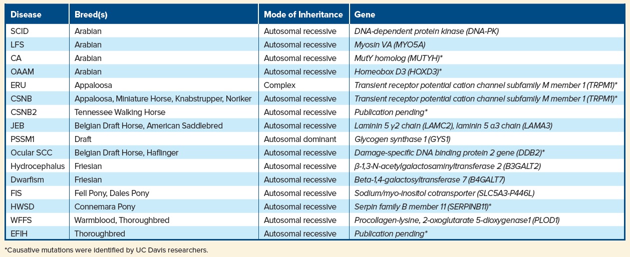 Table of several available genetic tests arranged by breed