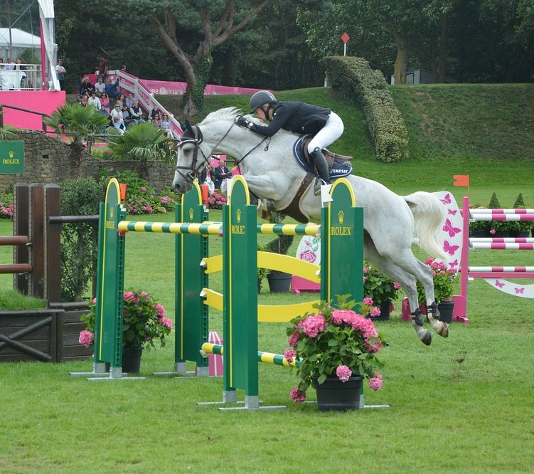 Grey horse jumping green and yellow oxer.