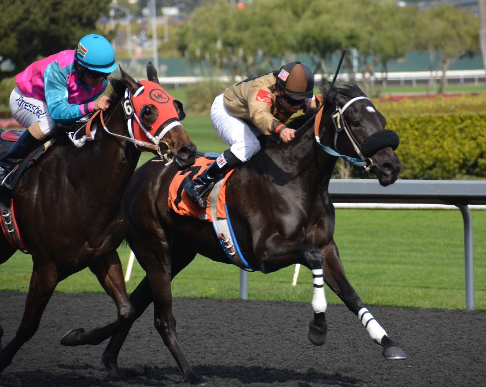 Horses racing