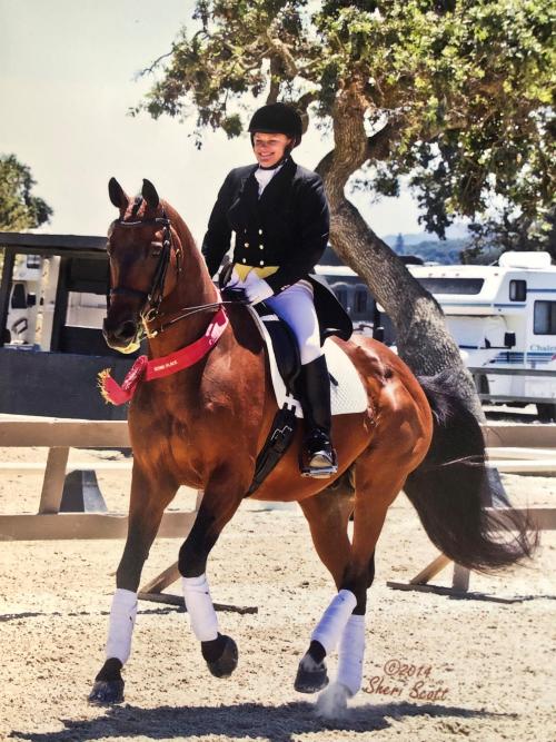 Pam Englund and her horse Laser on a victory gallop
