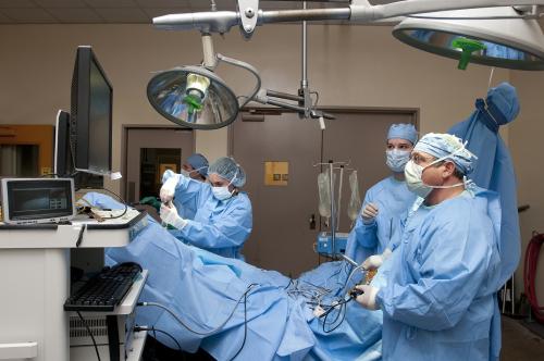 Surgeons and technicians performing colic surgery on horse covered in blue drape