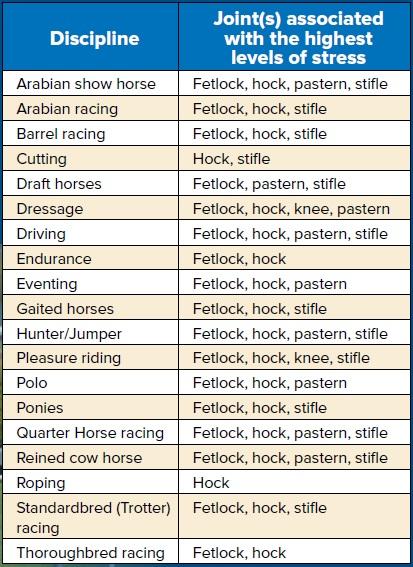 table of joints that undergo the most stress per discipline
