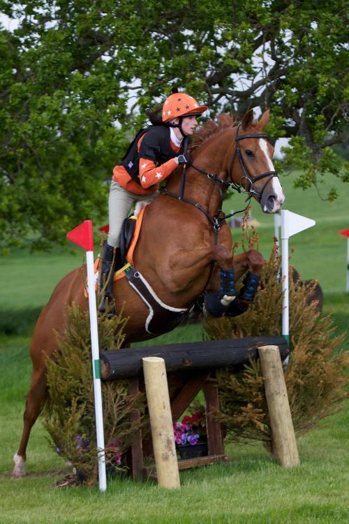 event horse jumping obstacle