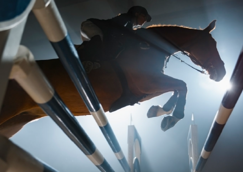 silhouette of horse jumping