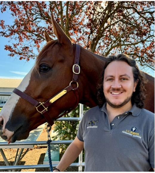 Smiling man beside chestnut horse with white blaze, autumn tree