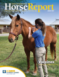 cover of spring 2021 Horse Report
