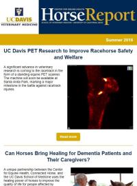 cover of summer 2019 Horse Report