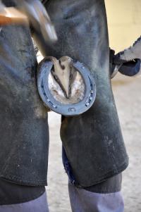 farrier holding horse's hoof